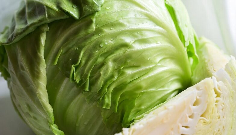 Guia Prático: Como Iniciar uma Alimentação Mais Saudável Hoje