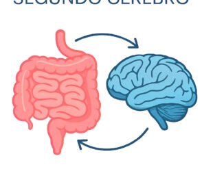 Intestino Saudável: por que ele é considerado o "segundo cérebro" e como cuidar dele naturalmente