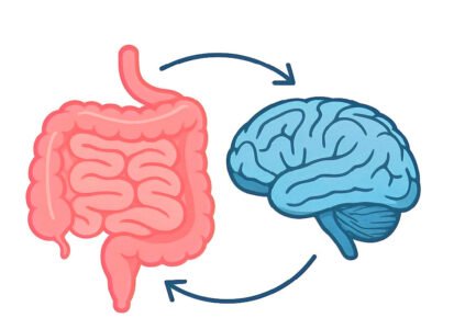 Intestino Saudável: por que ele é considerado o "segundo cérebro" e como cuidar dele naturalmente