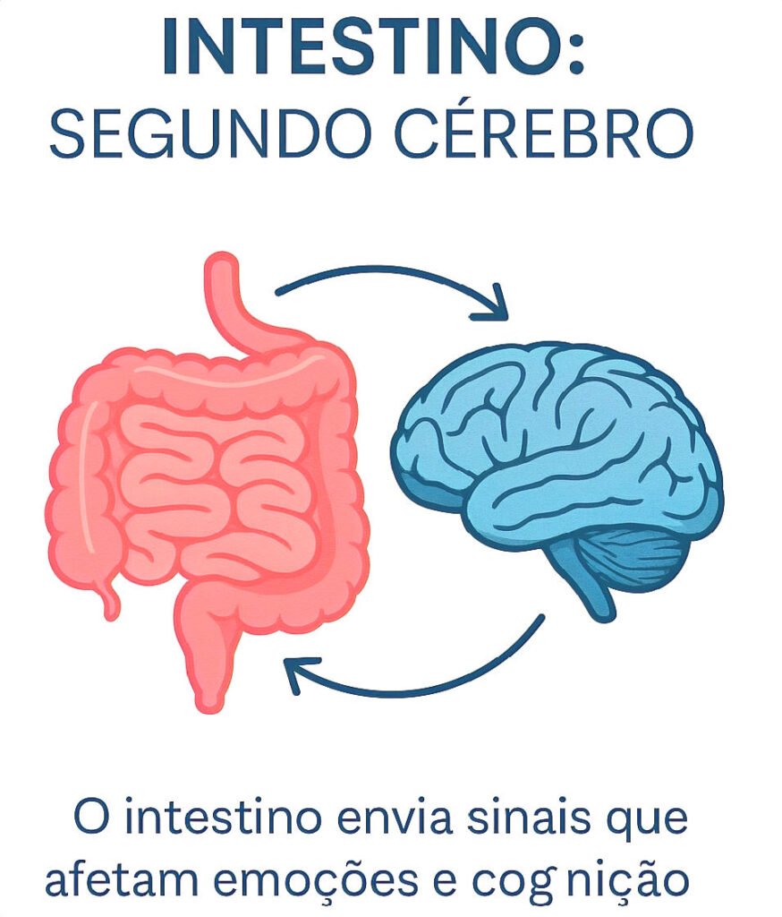Intestino Saudável: por que ele é considerado o "segundo cérebro" e como cuidar dele naturalmente